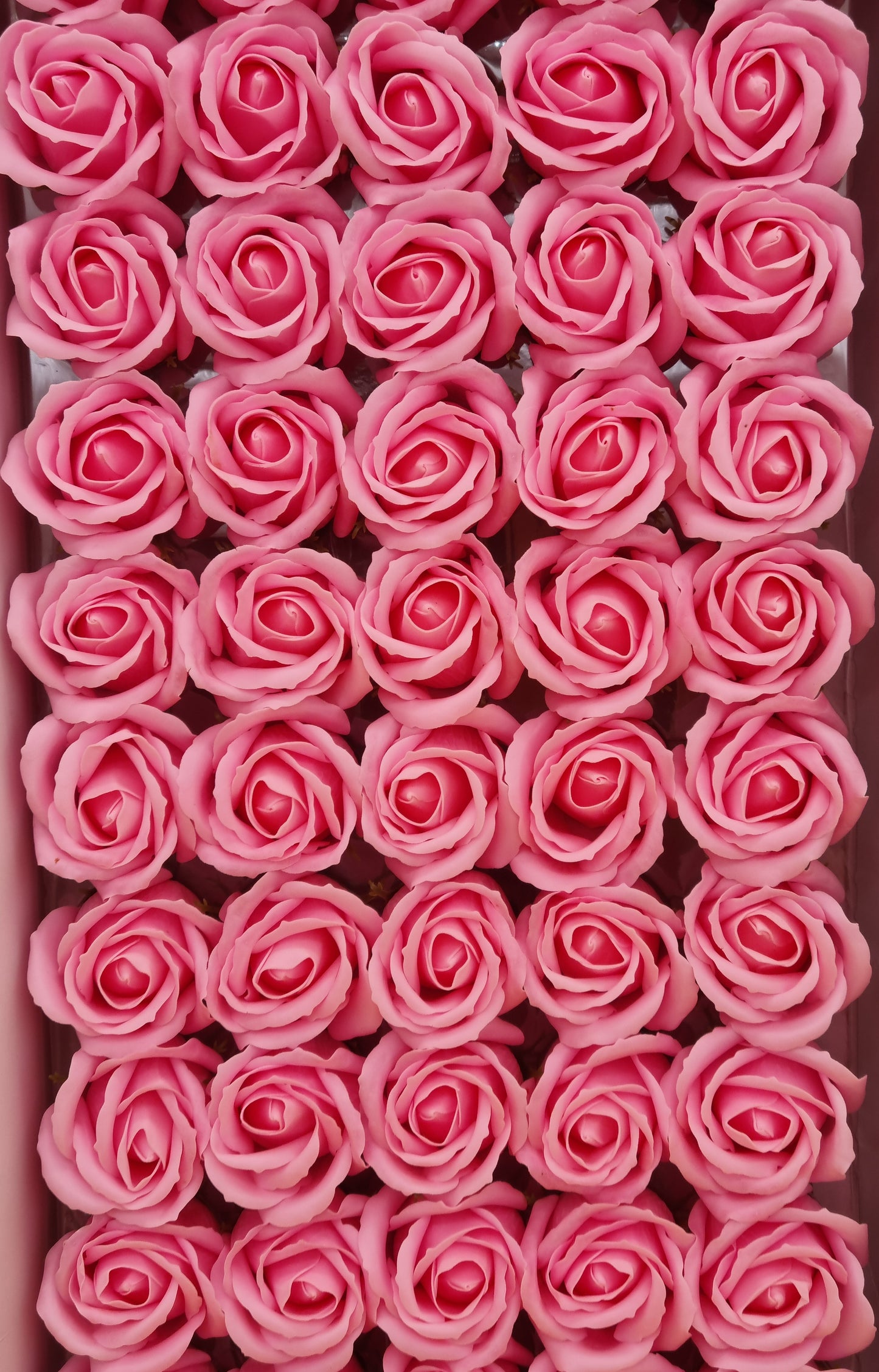 Seifenblume "Rose 08" Rosa