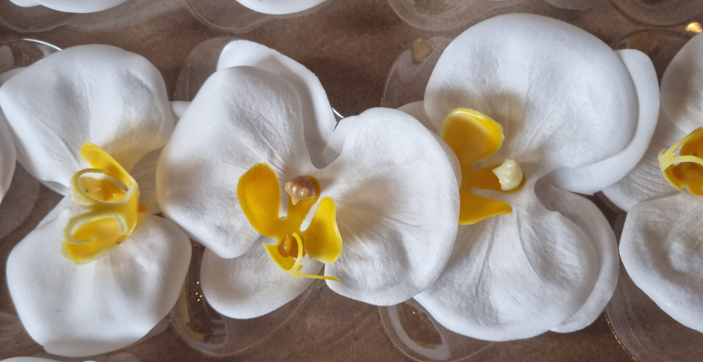 Seifenblume "Orchideen 106" Creme