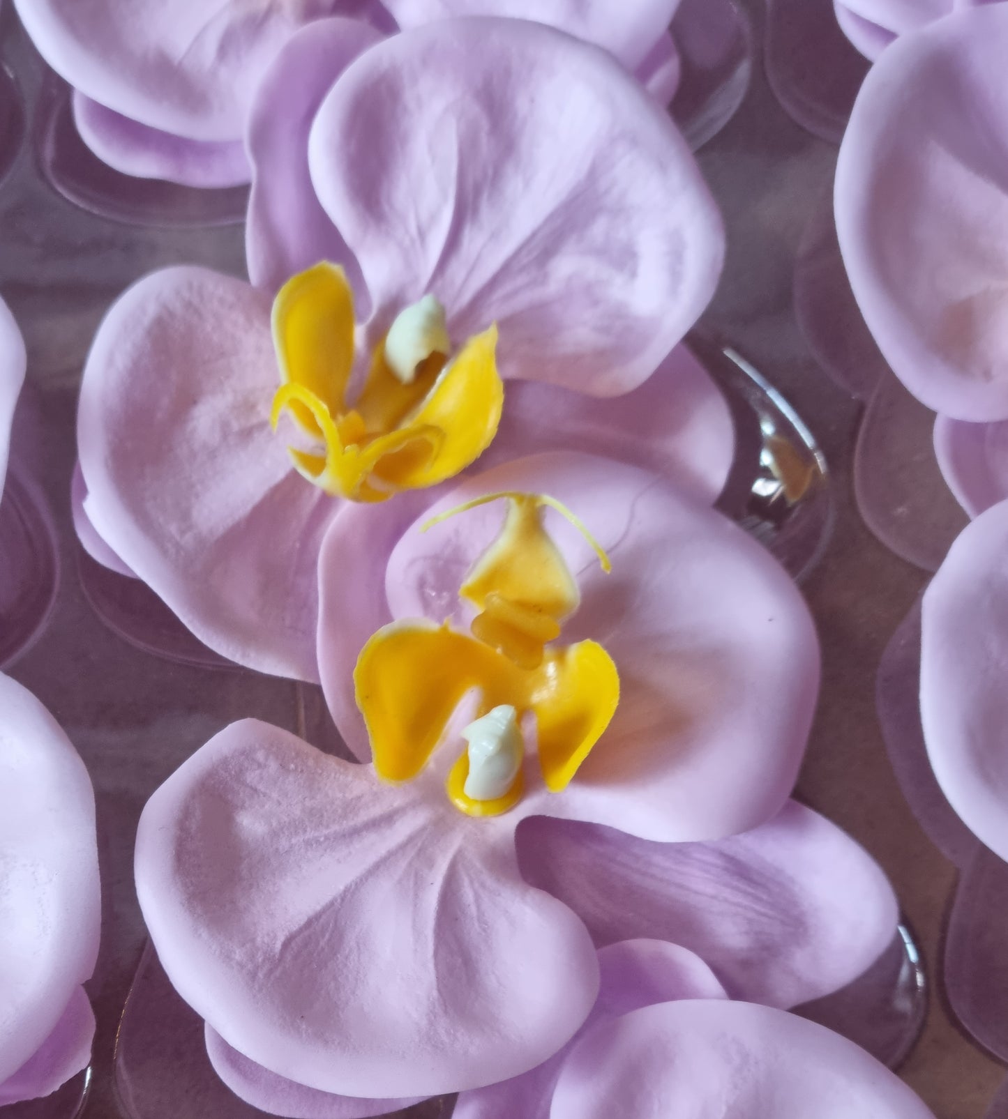 Seifenblume "Orchideen 108" Violett