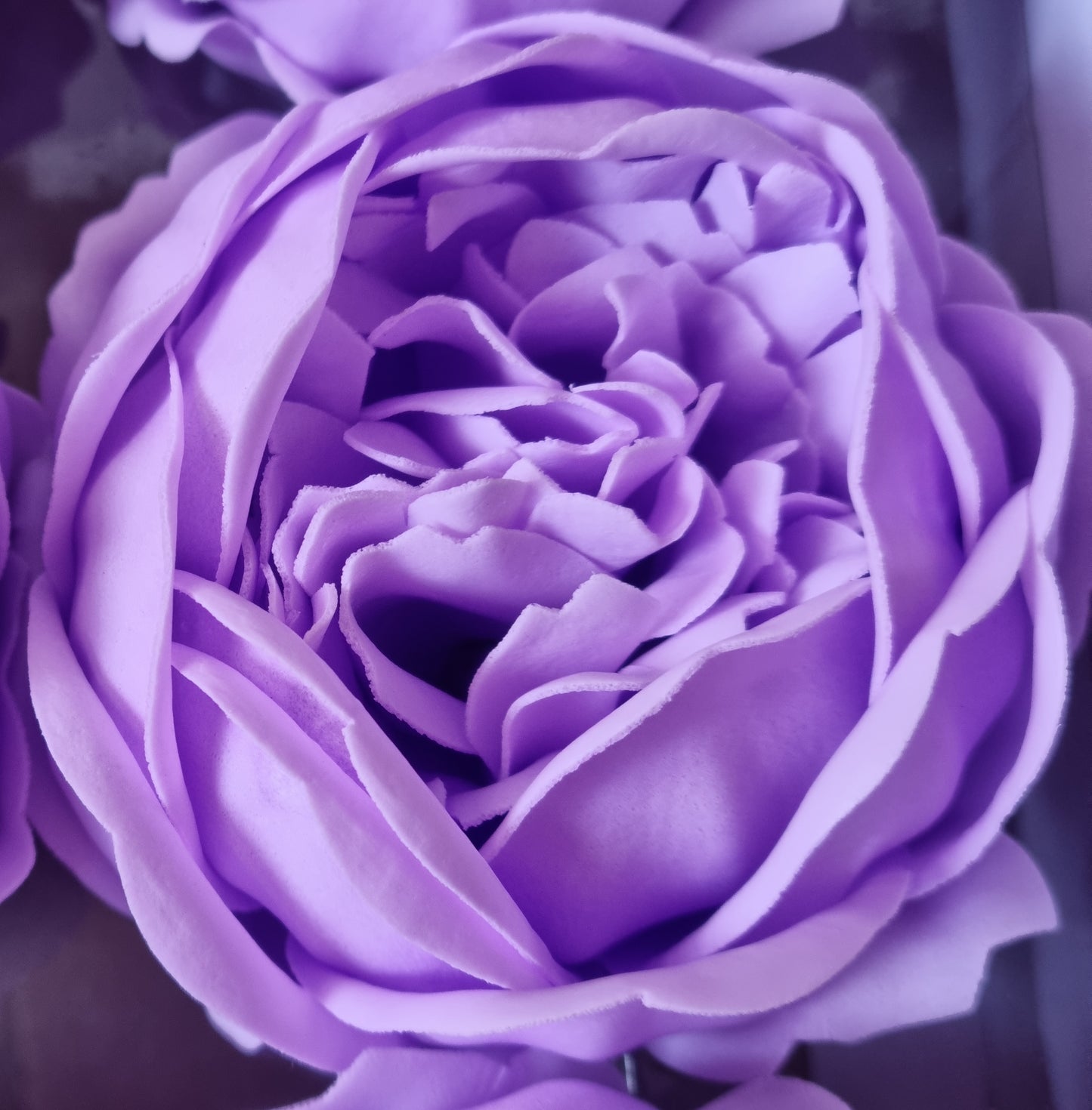 Seifenblume "Pfingstrosen 112" Lila