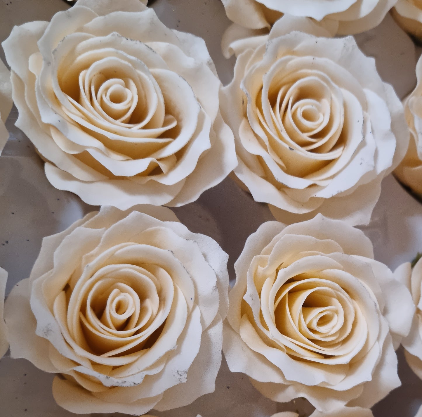 Seifenblume "Rose mittel 118" Zitrone