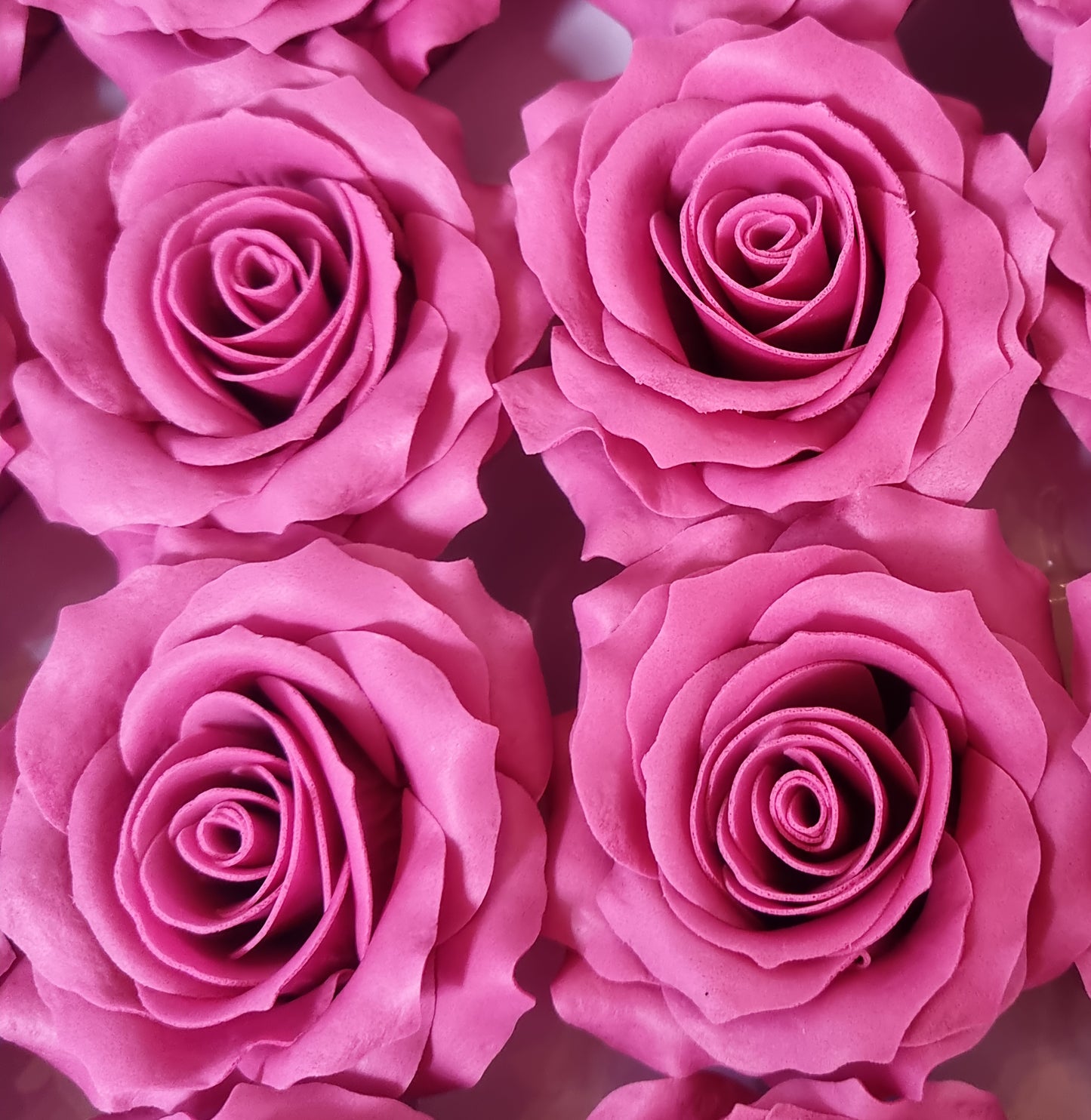 Seifenblume "Rose mittel 119" Rosa