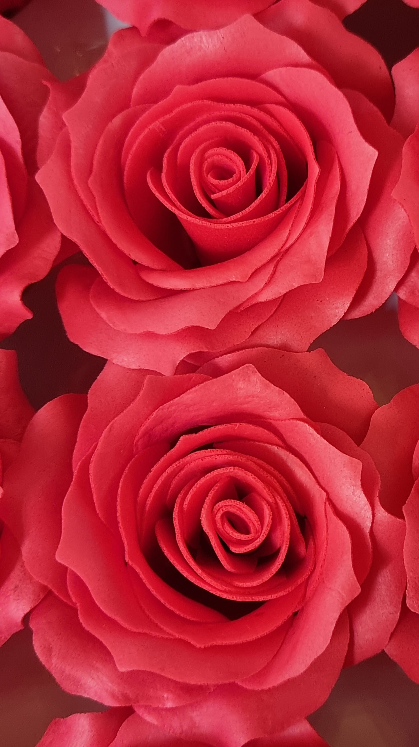 Seifenblume "Rose mittel 120" Rot