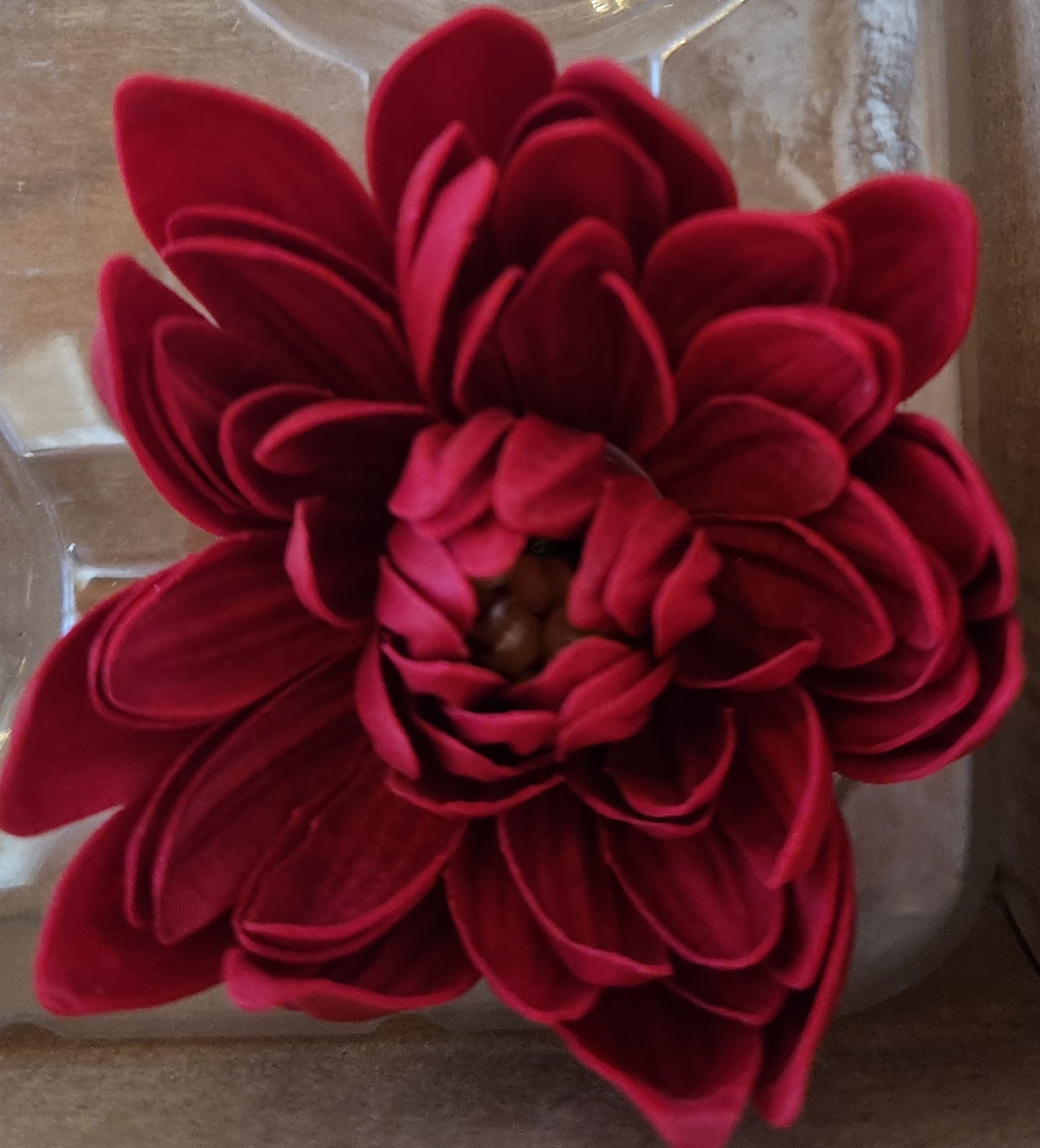 Seifenblume "Lotus 129" Bordeaux