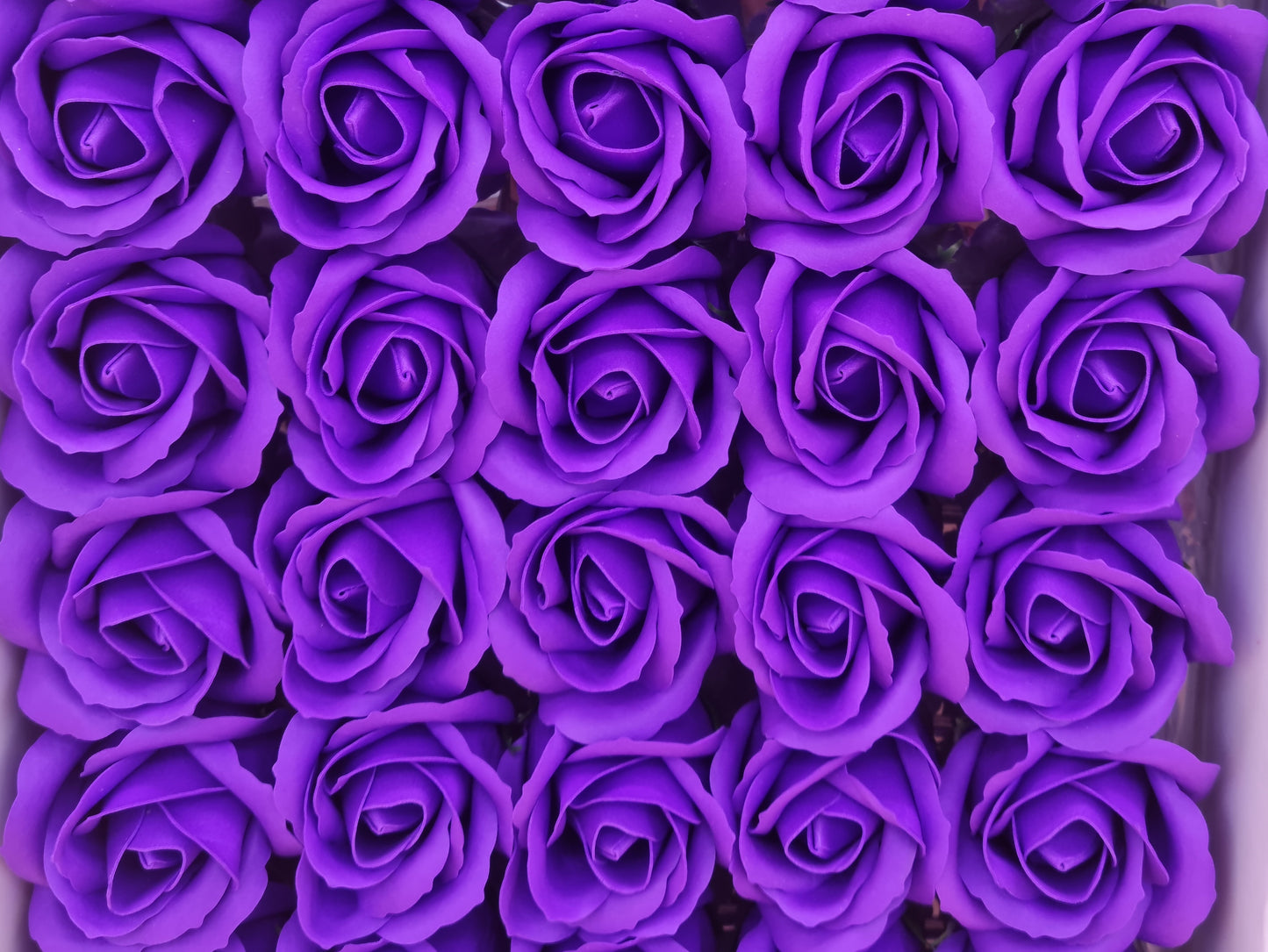 Seifenblume "Rose 12" Violett