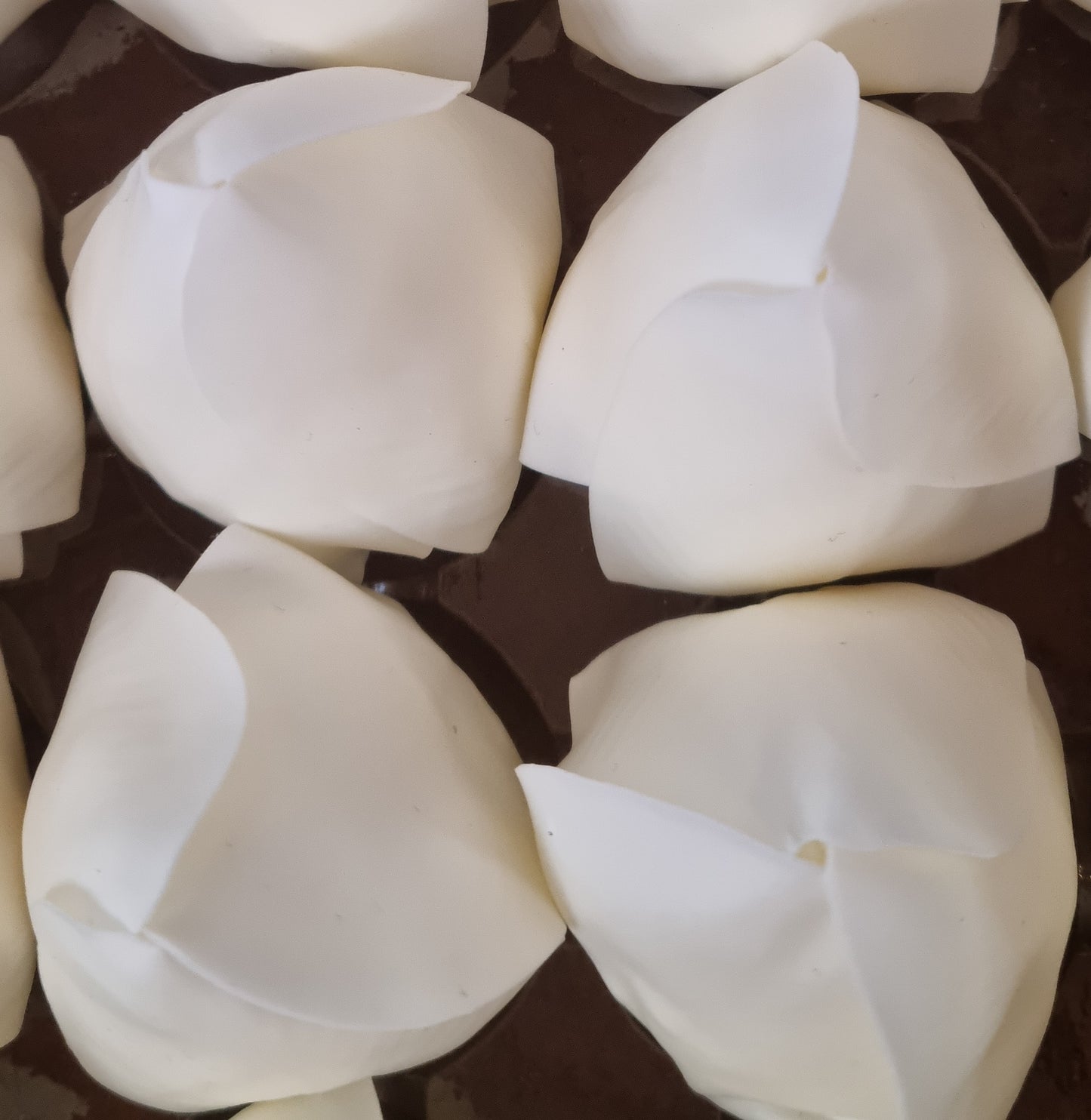 Seifenblume "Tulpe 135" Creme