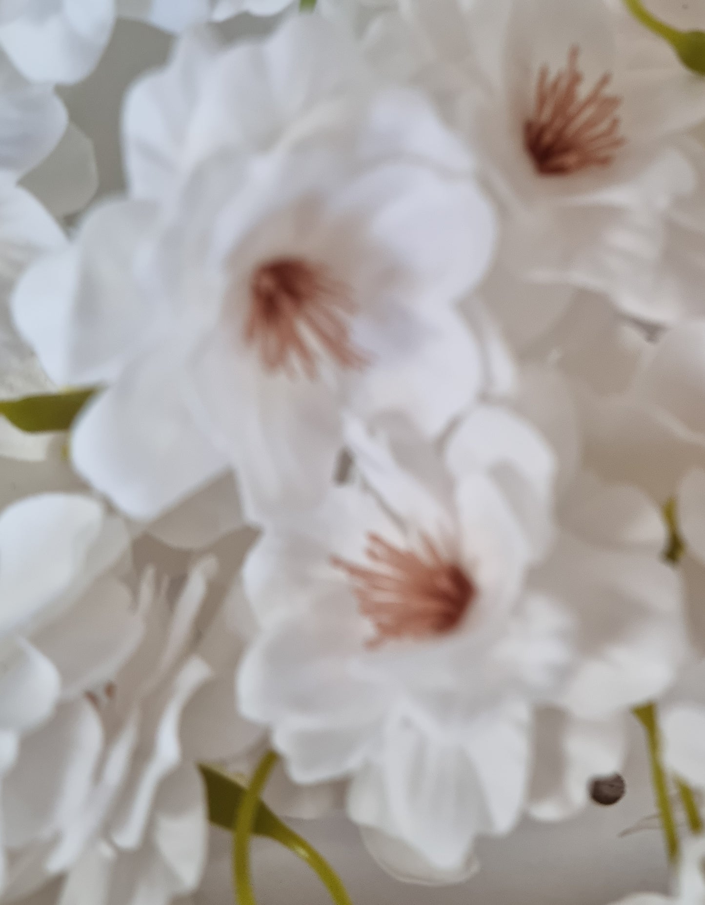 Seifenblume "Kirschblüten 139" Weiß