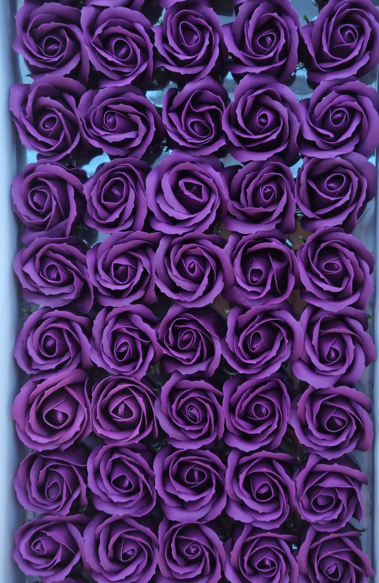 Seifenblume "Rose 13" Aubergine