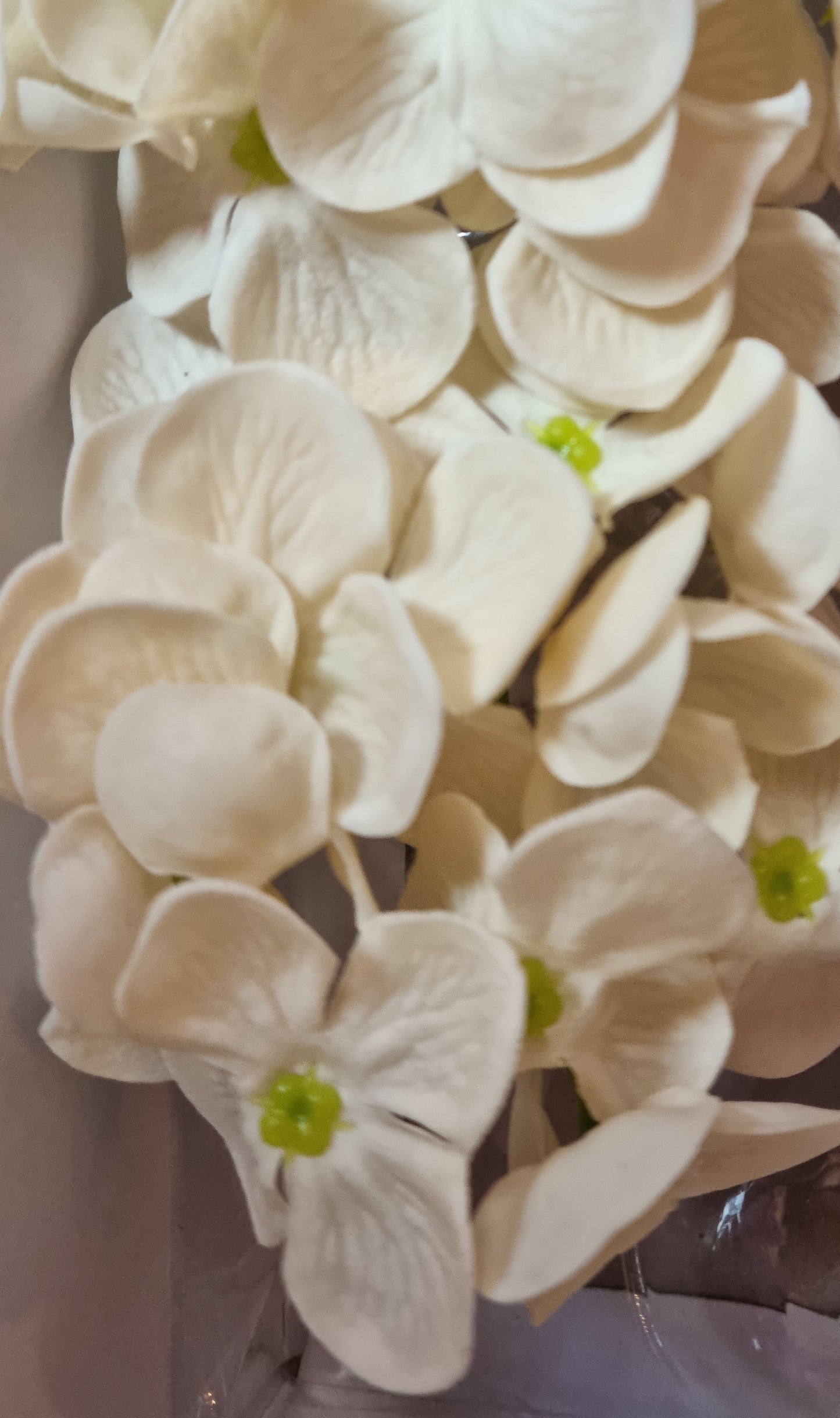 Seifenblume "Hortensien 161" Fuchsia