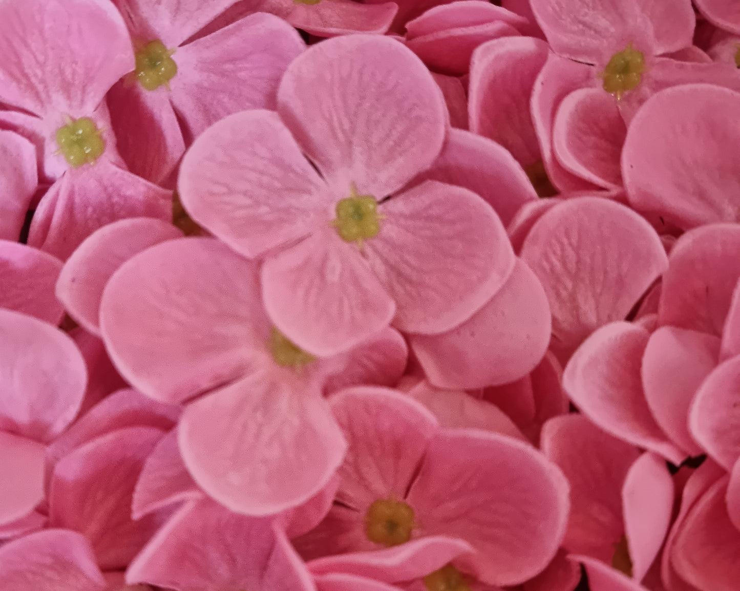 Seifenblume "Hortensien 165" Blau