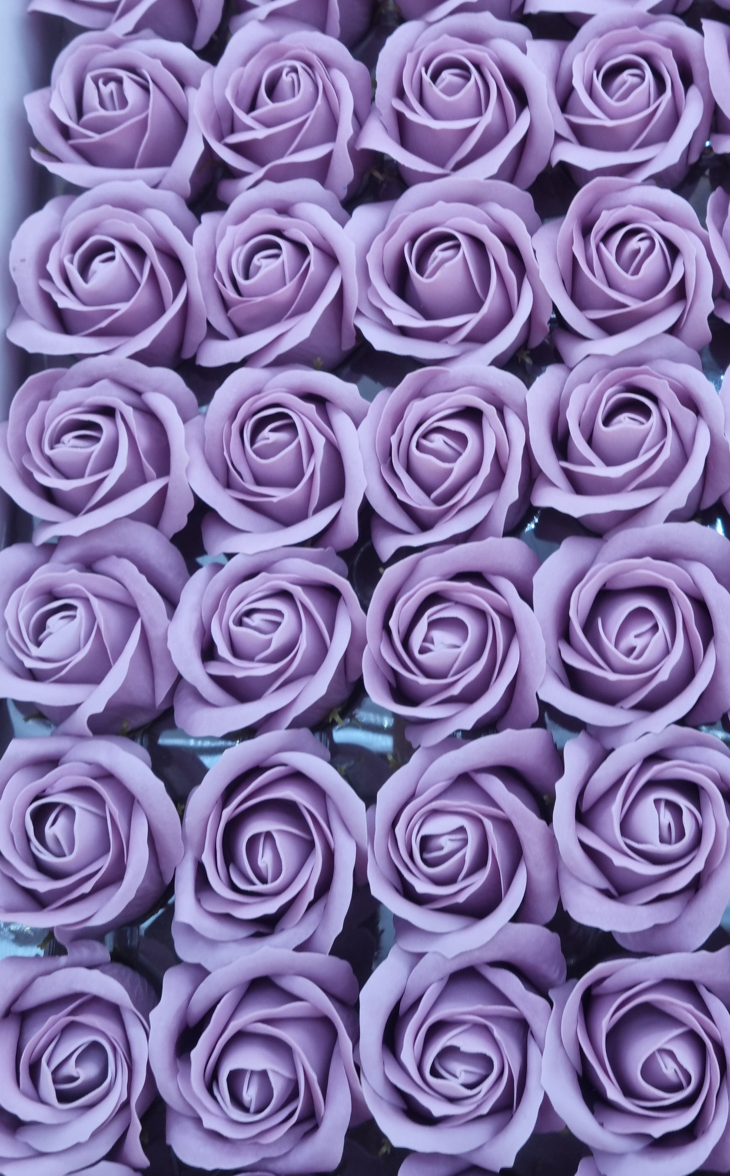 Seifenblume "Rose 31" Violett-Lila