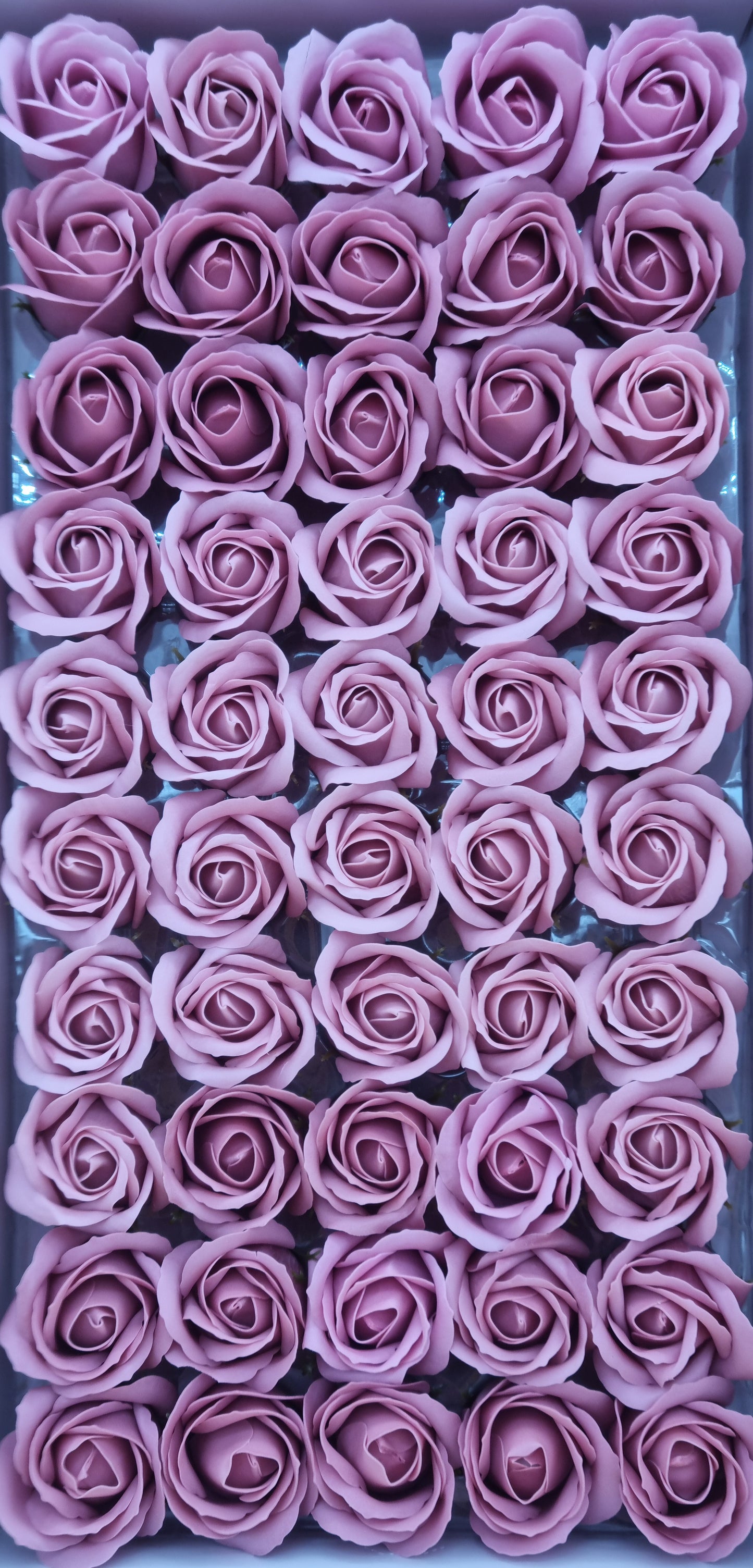 Seifenblume "Rose 33" Tiefes Rosa