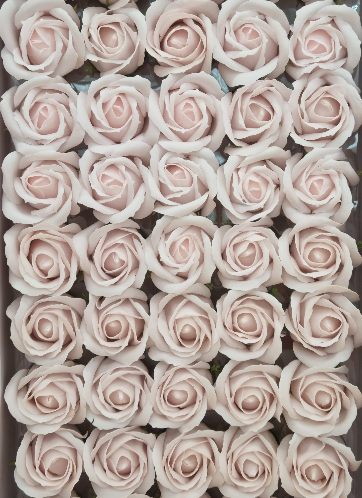 Seifenblume "Rose 34" Blassrosa