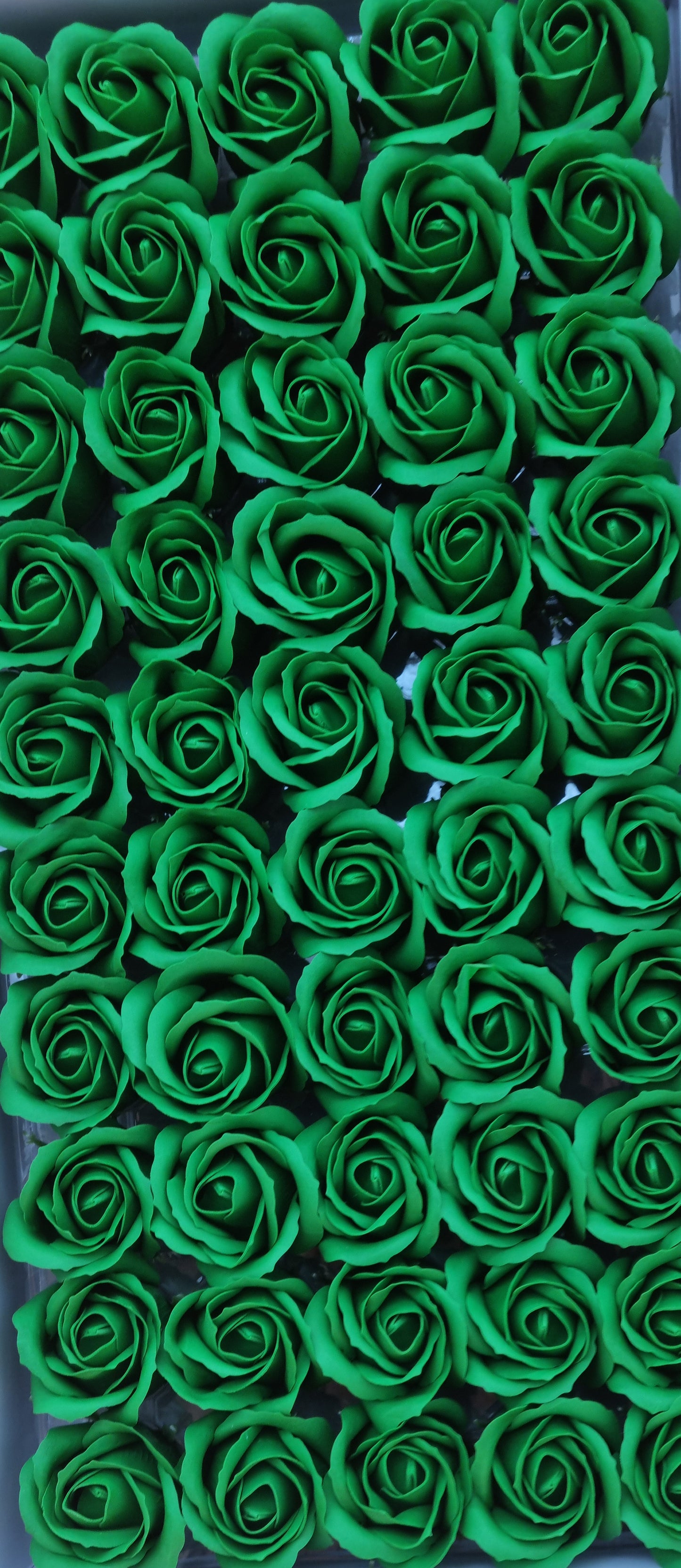 Seifenblume "Rose 42" Grüne Energie
