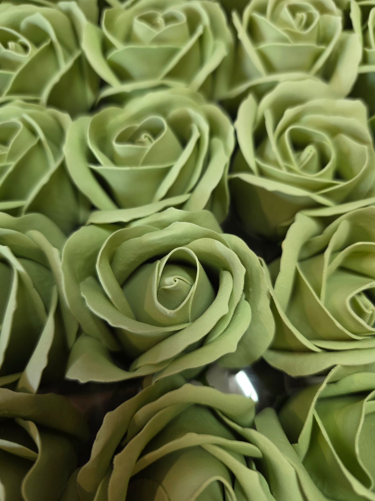 Seifenblume "Rose 55" Blassgrün