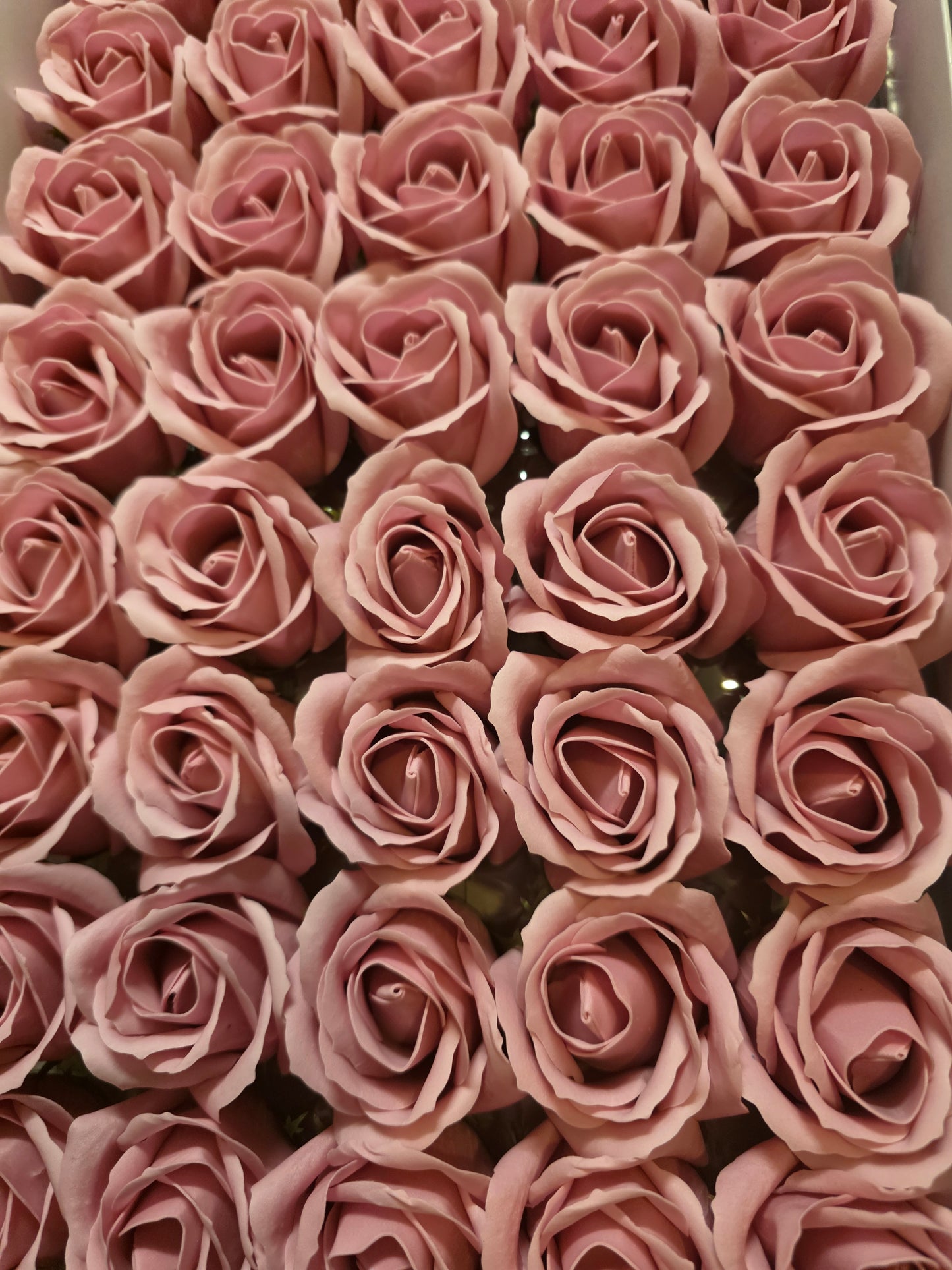 Seifenblume "Rose 56" Staubiges Rosa