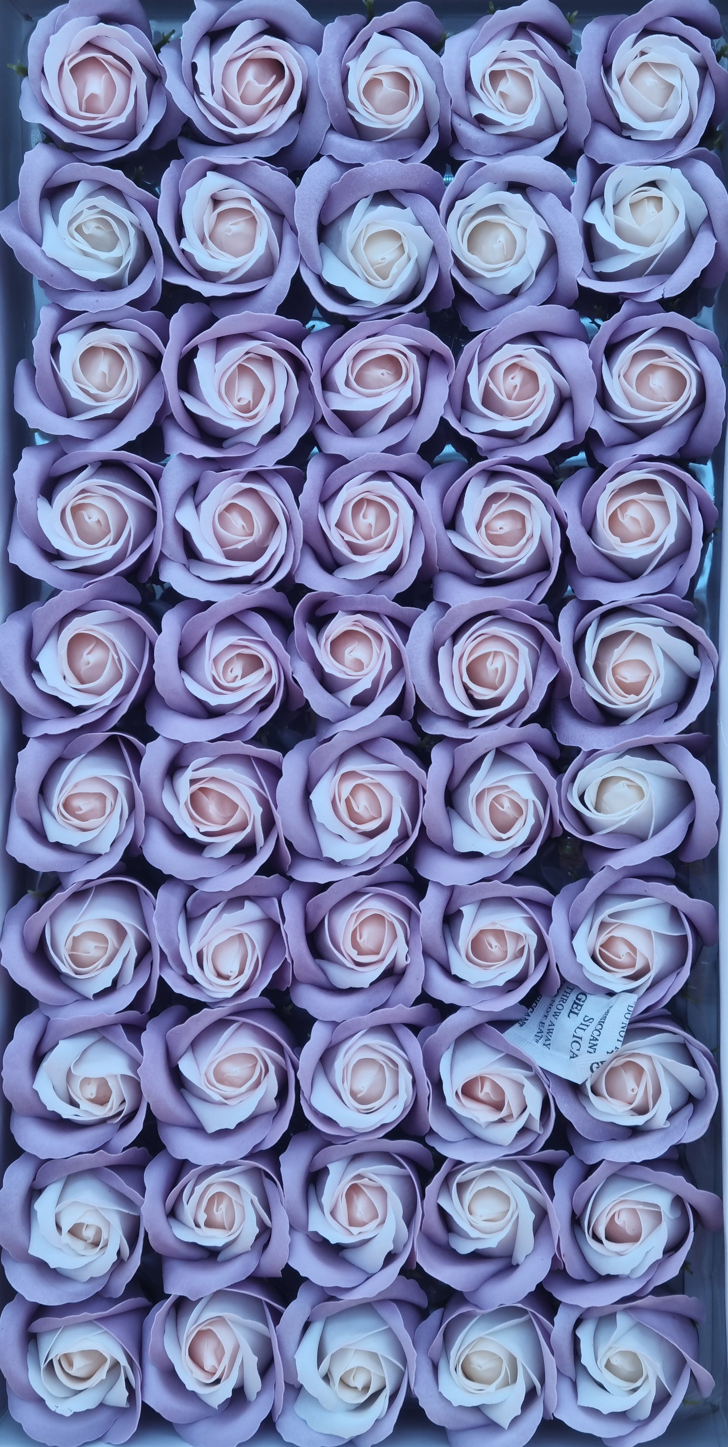 Seifenblume Multicolor "Rose 60" Rauchiger lila Regenbogen