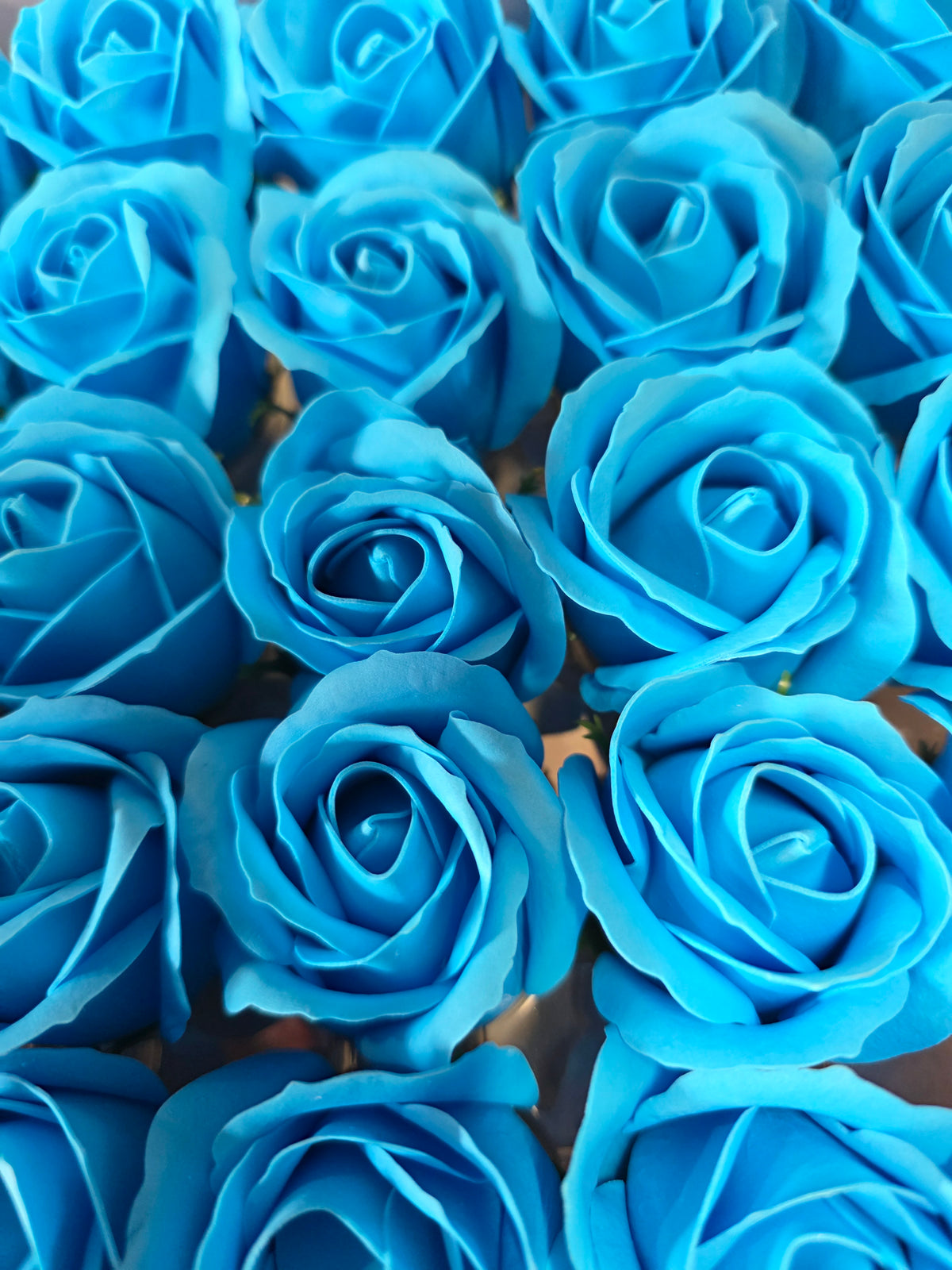 Seifenblume "Rose 62" Blau