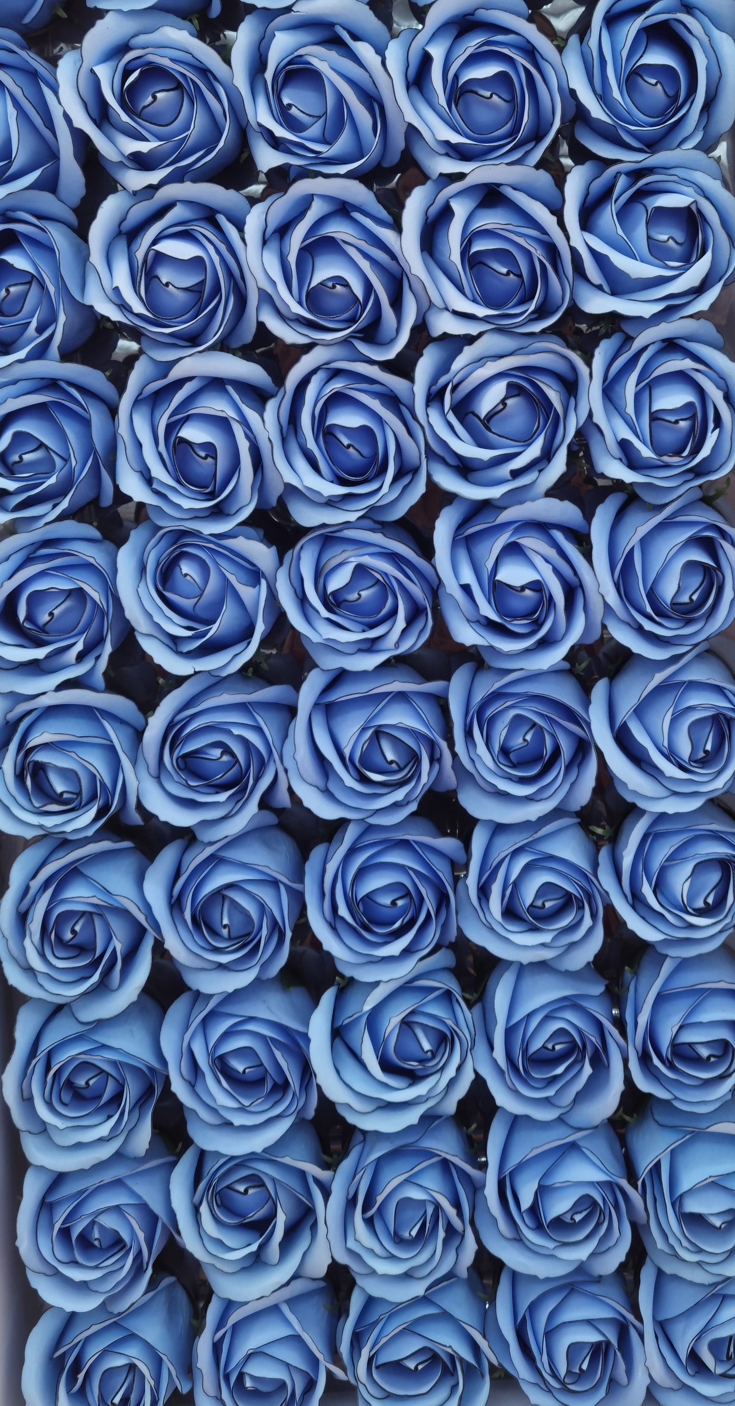 Seifenblume Multicolor Rand "Rose 66" Blau mit schwarzem Rand