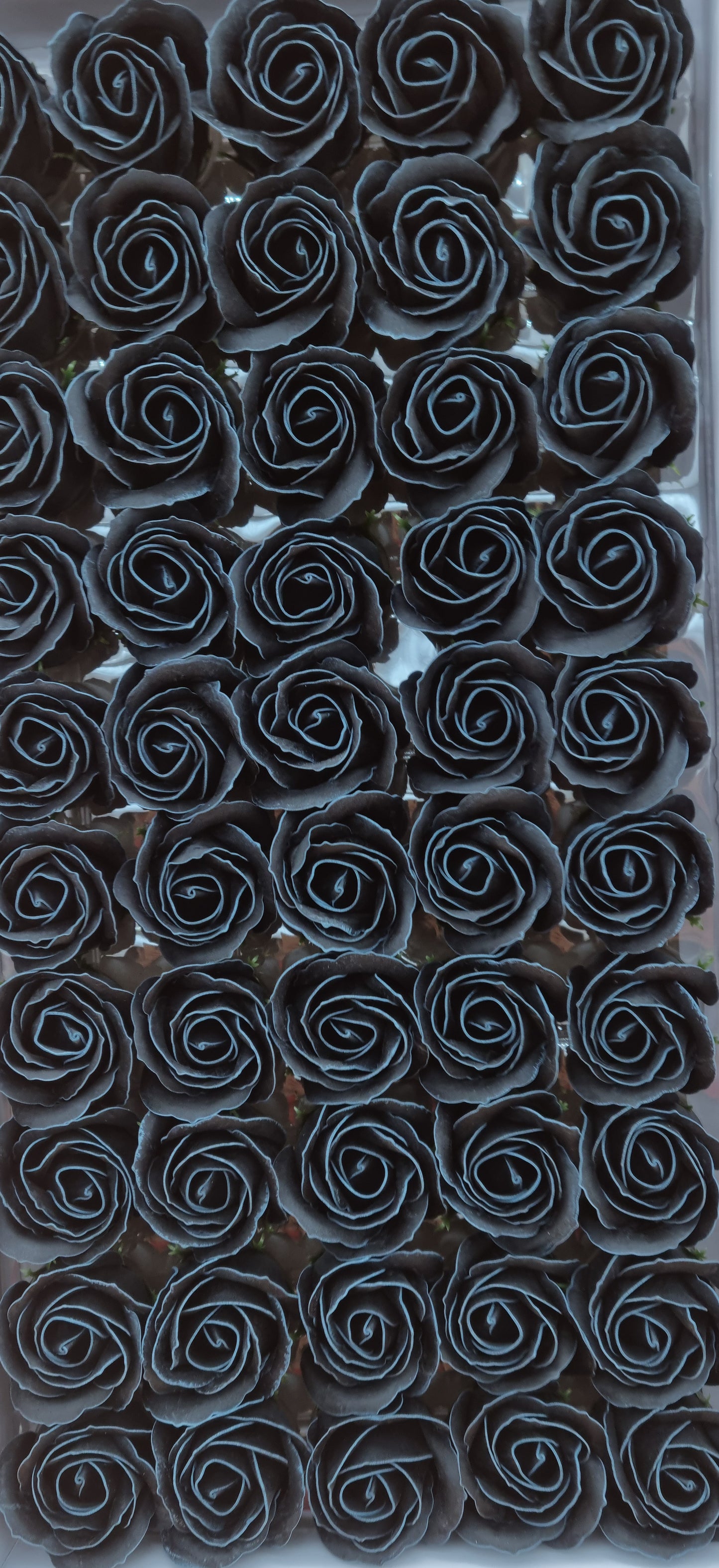 Seifenblume Multicolor Rand "Rose 68" Schwarz mit Rand