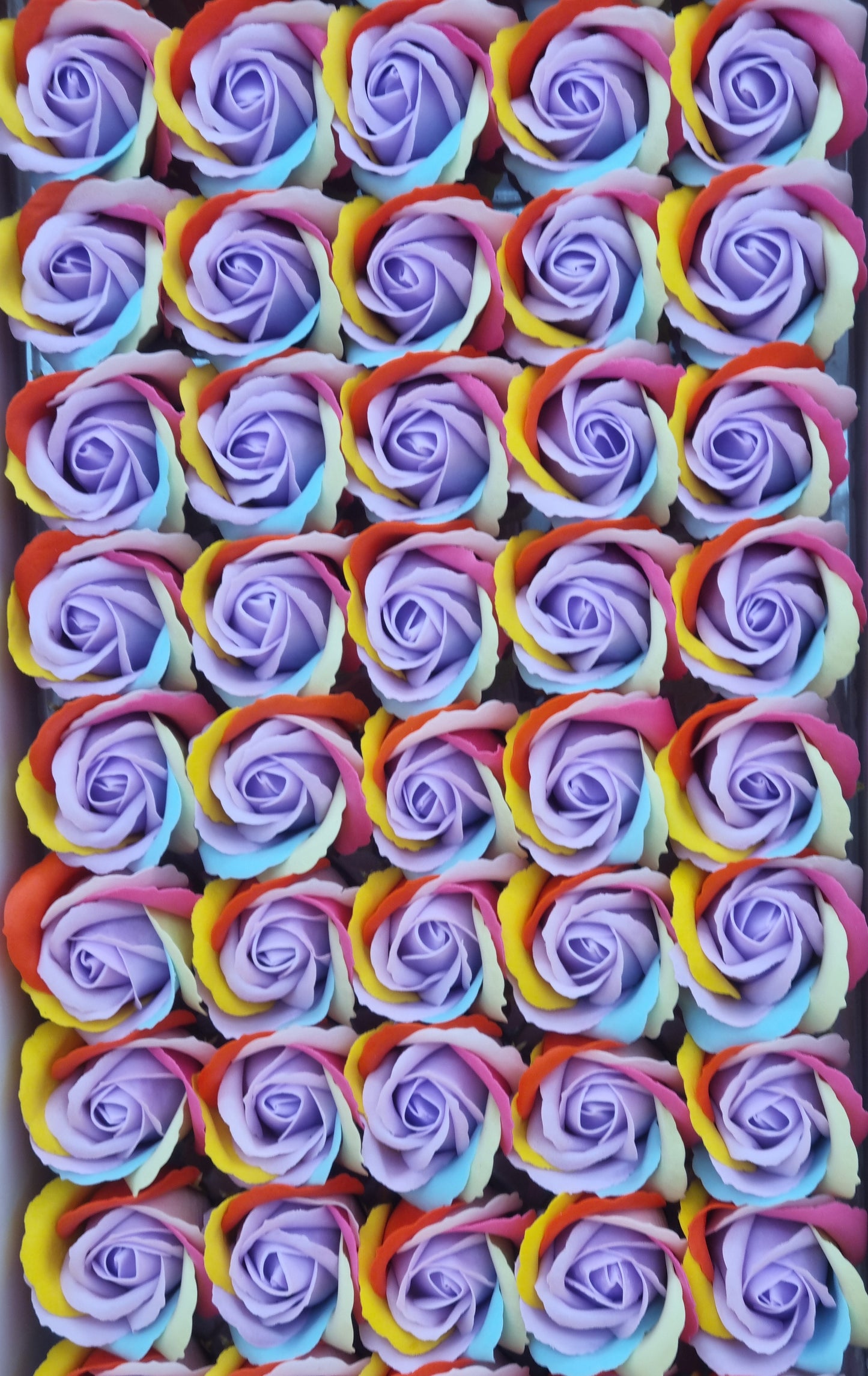 Seifenblume Multicolor "Rose 75" Regenbogen mit Lila