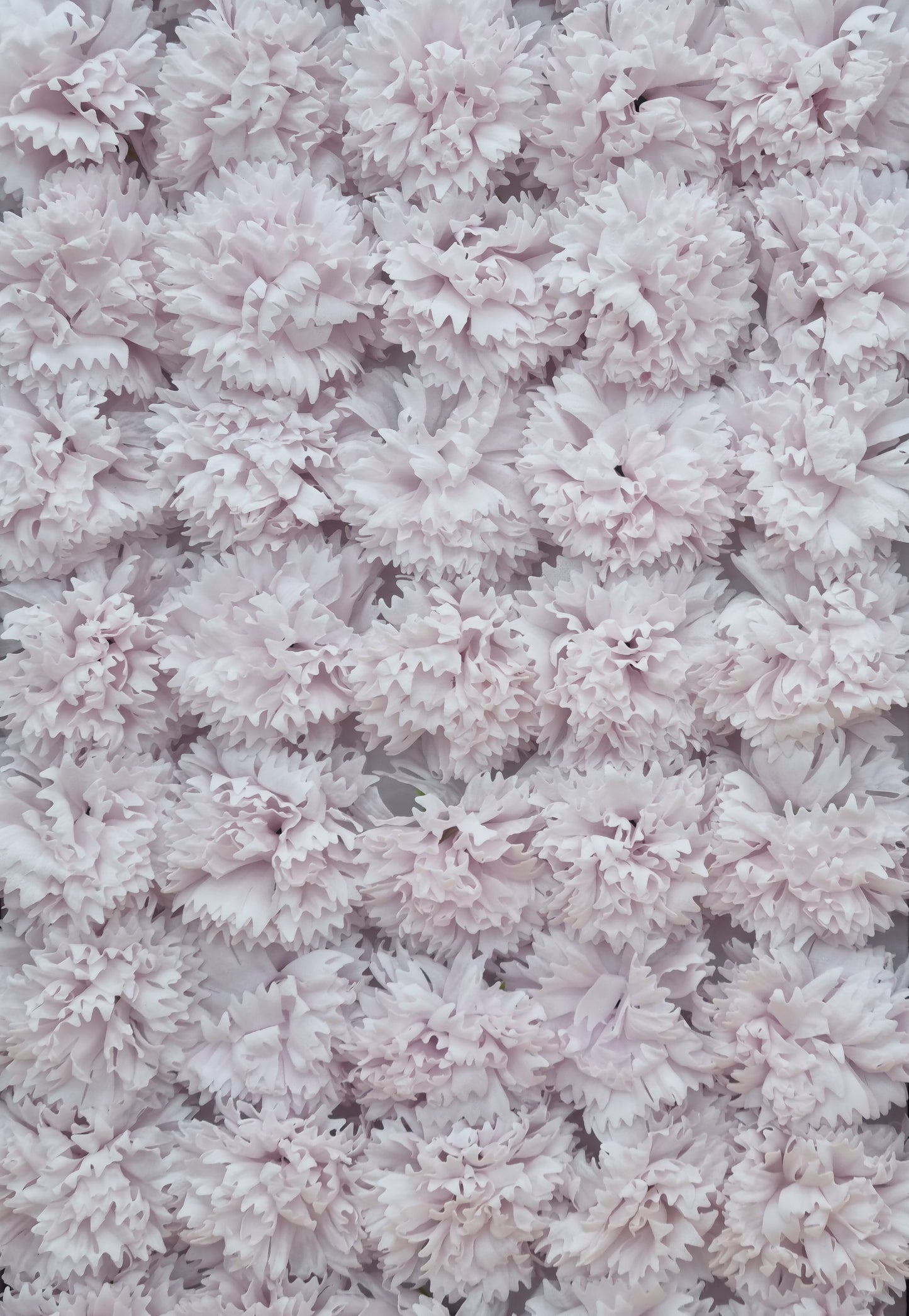 Seifenblume "Nelke 78" Hell Rosa