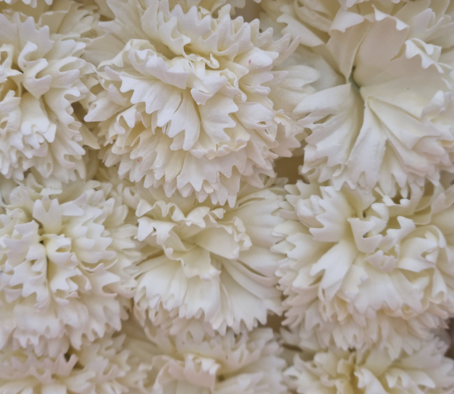 Seifenblume "Nelke 82" Creme