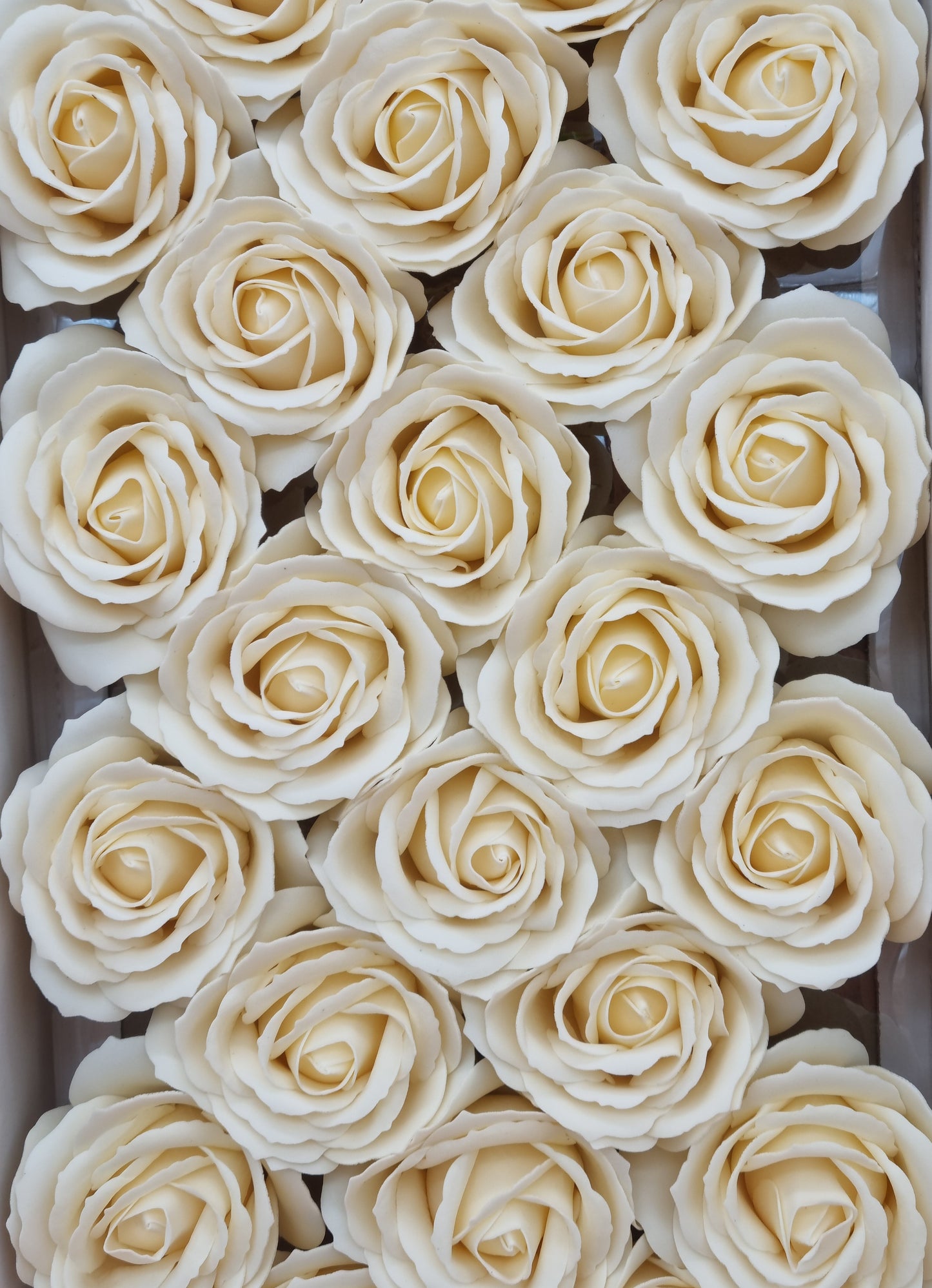 Seifenblume "Rose groß 85" Creme