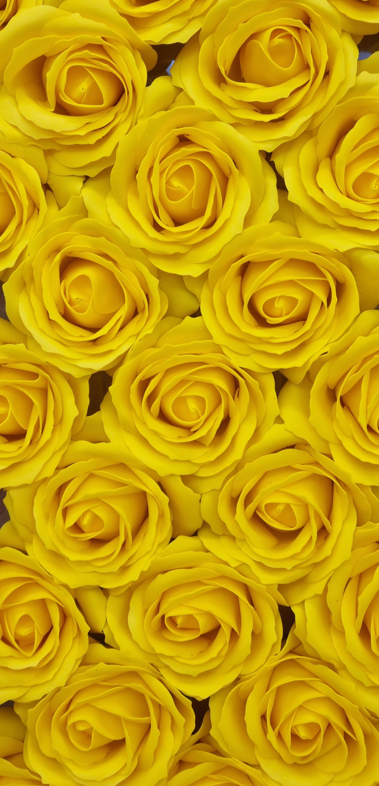 Seifenblume "Rose groß 86" Gelb