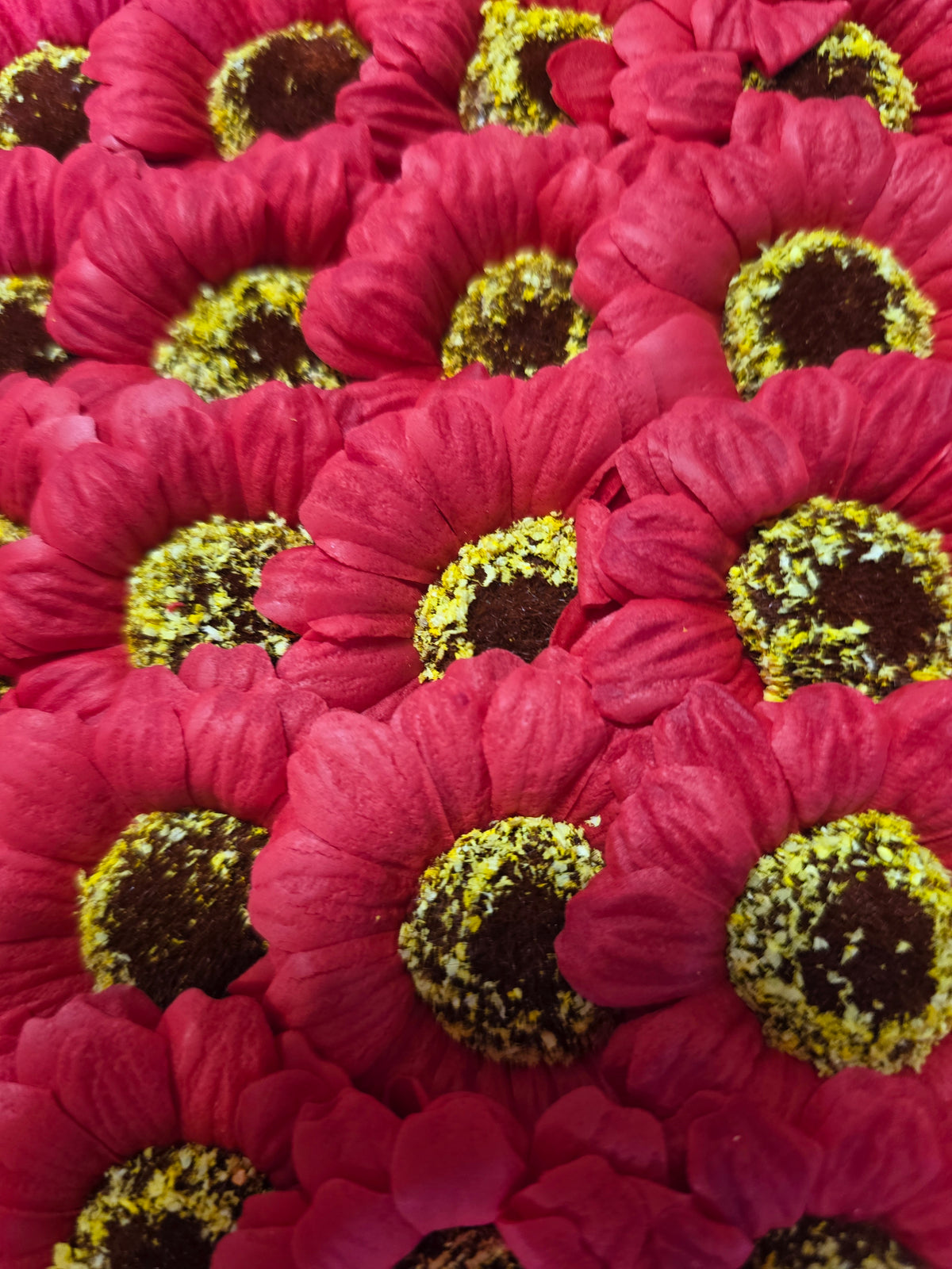 Seifenblume "Sonnenblume 96" Rot