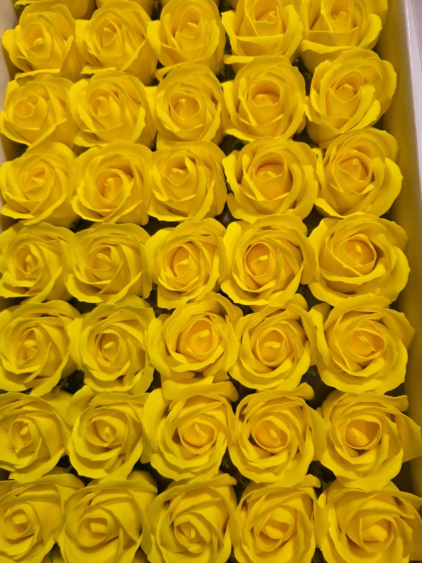 Seifenblume "Rose 16" Gelb