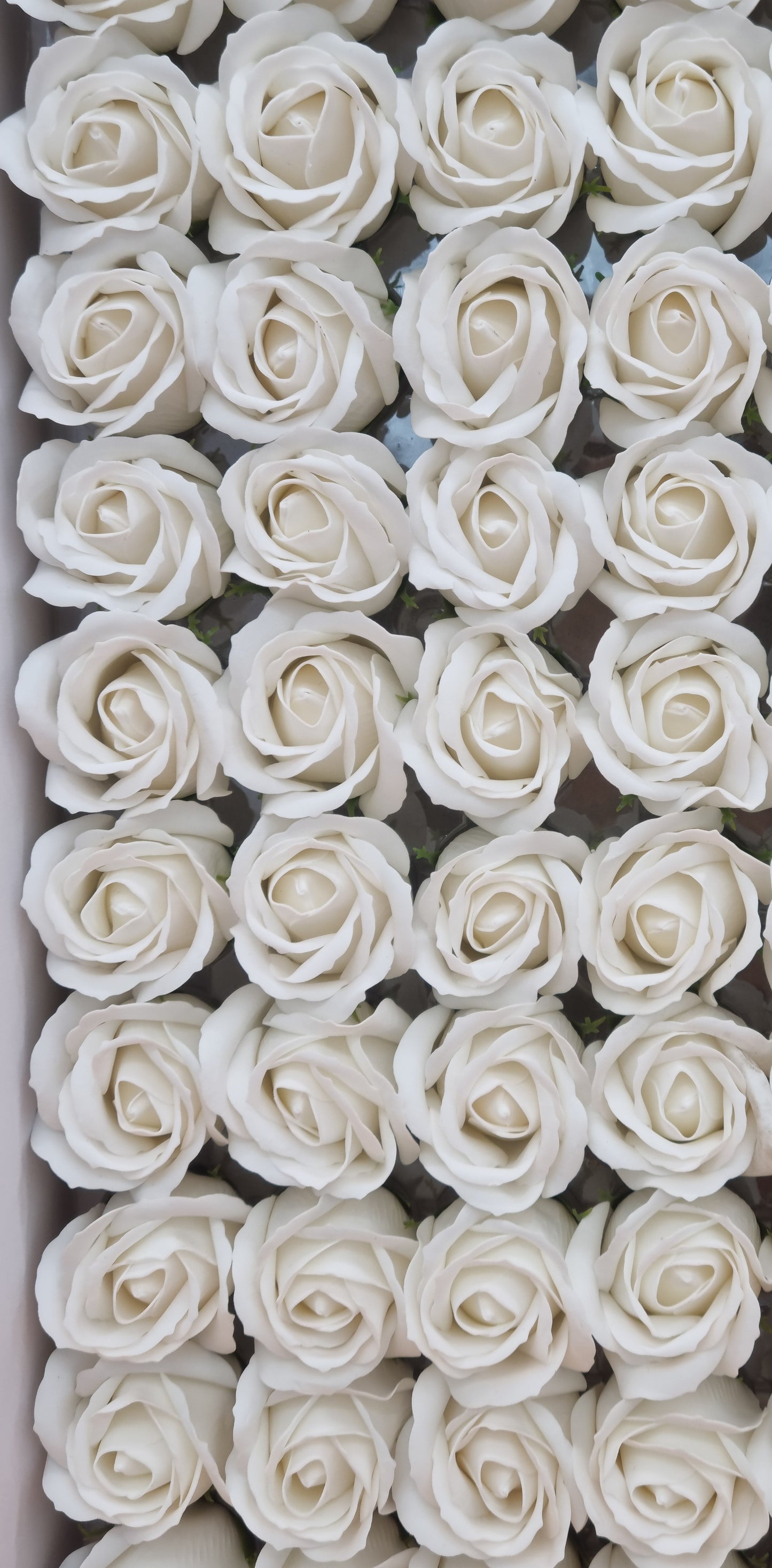 Seifenblume "Rose 01" Weiß