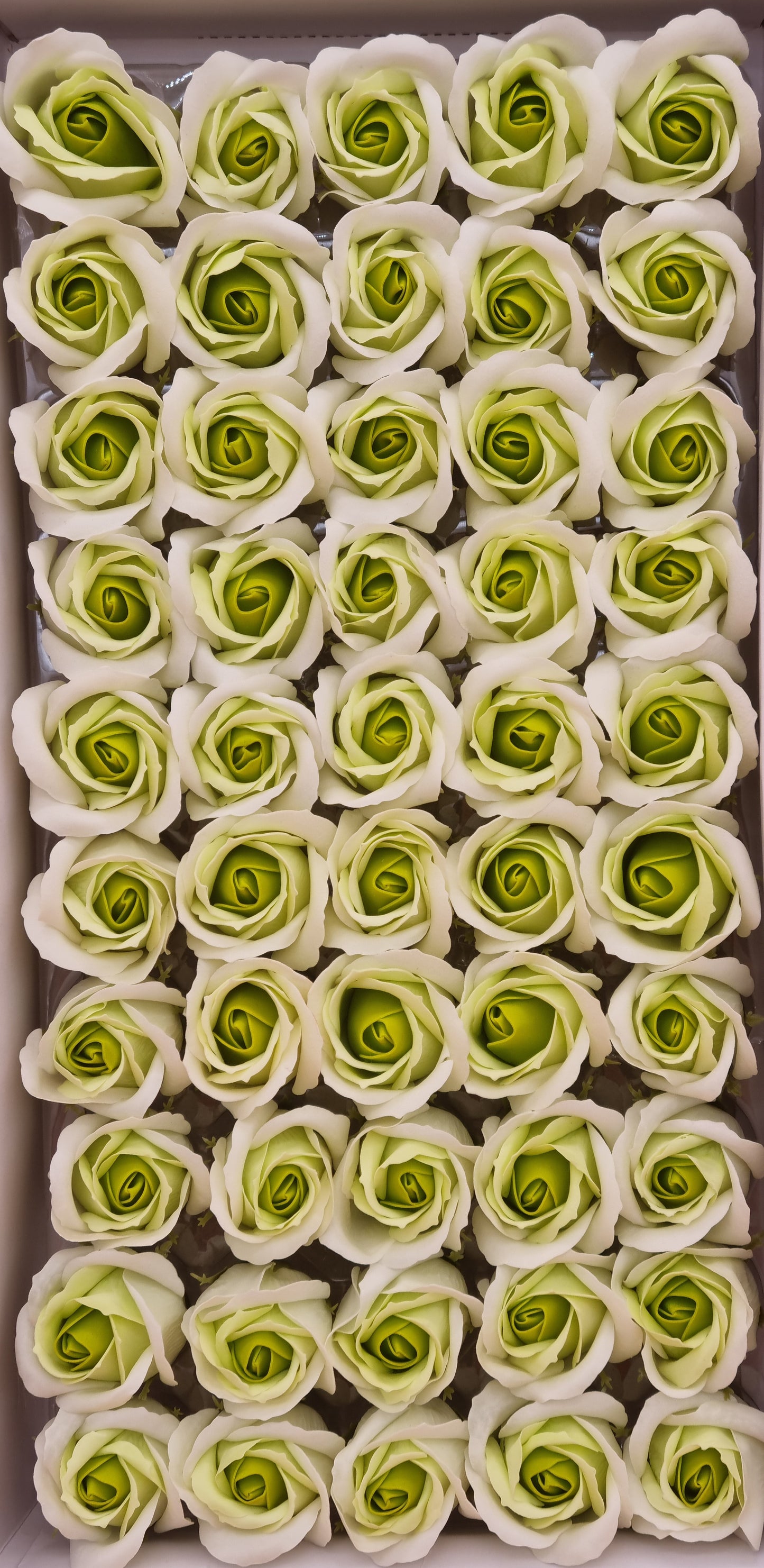 Seifenblume Multicolor "Rose 05" Helles + Dunkles Grün