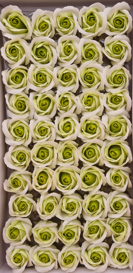 Seifenblume Multicolor "Rose 05" Helles + Dunkles Grün