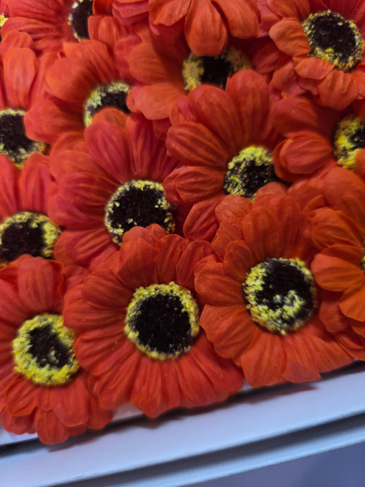 Seifenblume "Sonnenblume 100" Orange
