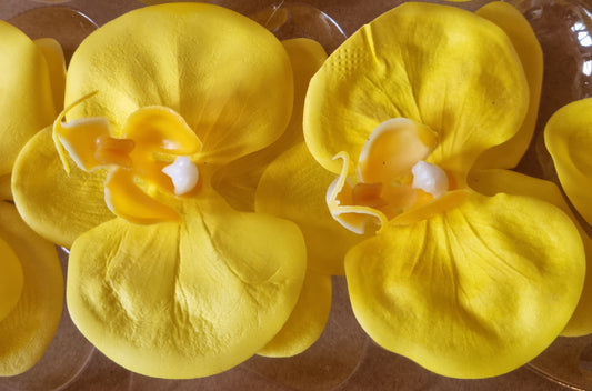 Seifenblume "Orchideen 103" Gelb