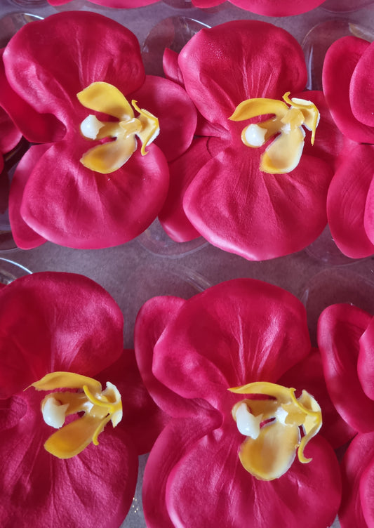 Seifenblume "Orchideen 105" Rot