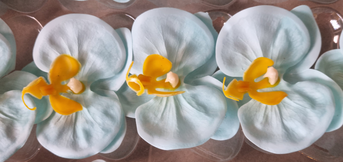 Seifenblume "Orchideen 107" Babyblau