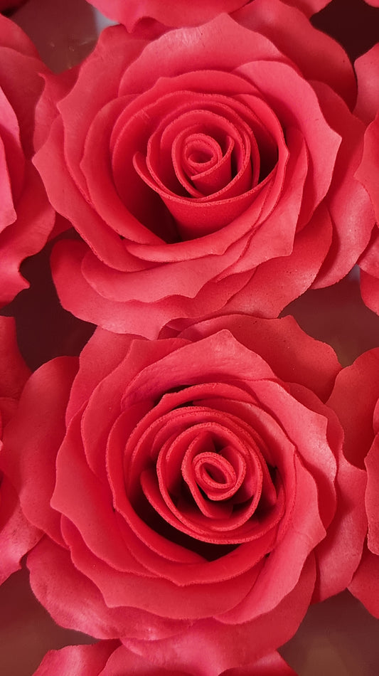 Seifenblume "Rose mittel 120" Rot