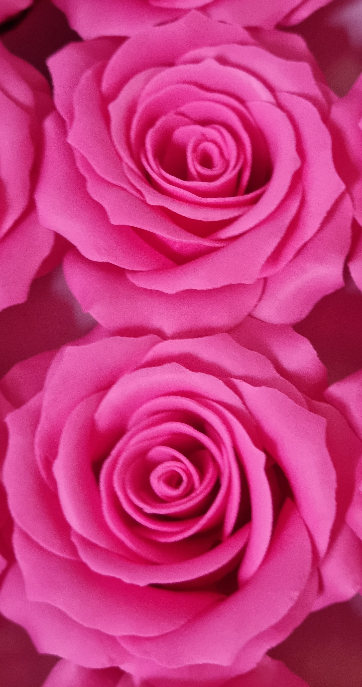 Seifenblume "Rose mittel 121" Pink