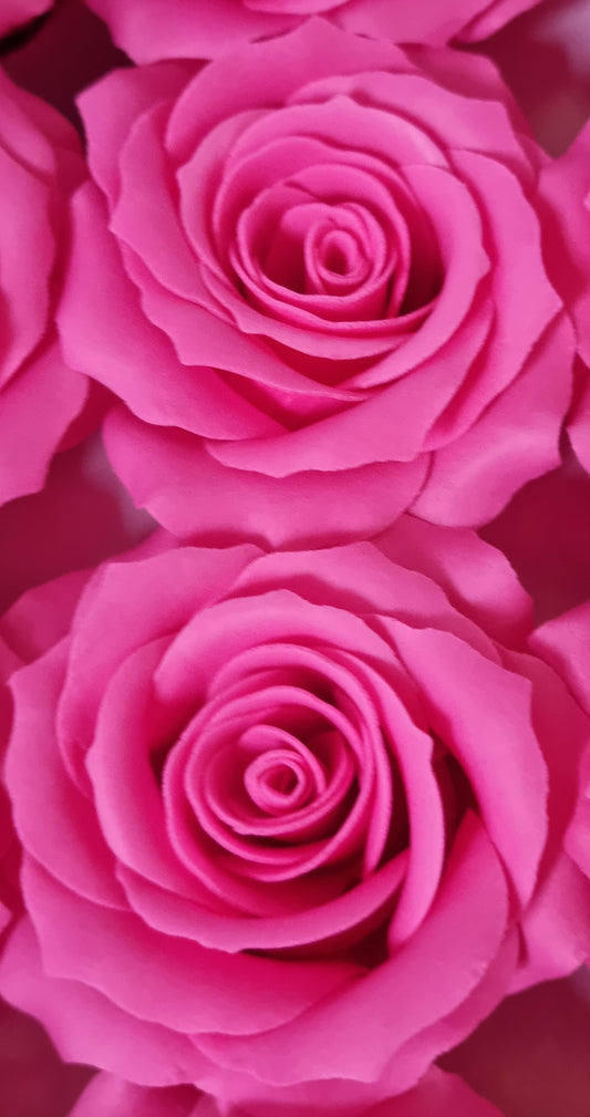 Seifenblume "Rose mittel 121" Pink