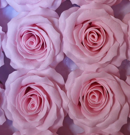 Seifenblume "Rose mittel 122" Babyrosa