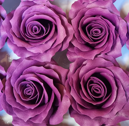 Seifenblume "Rose mittel 124" Violett