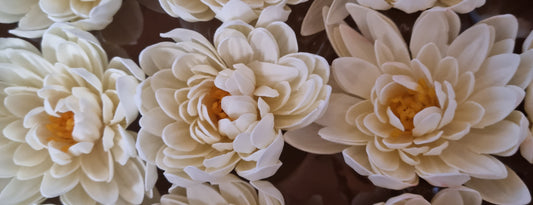 Seifenblume "Lotus 126" Creme