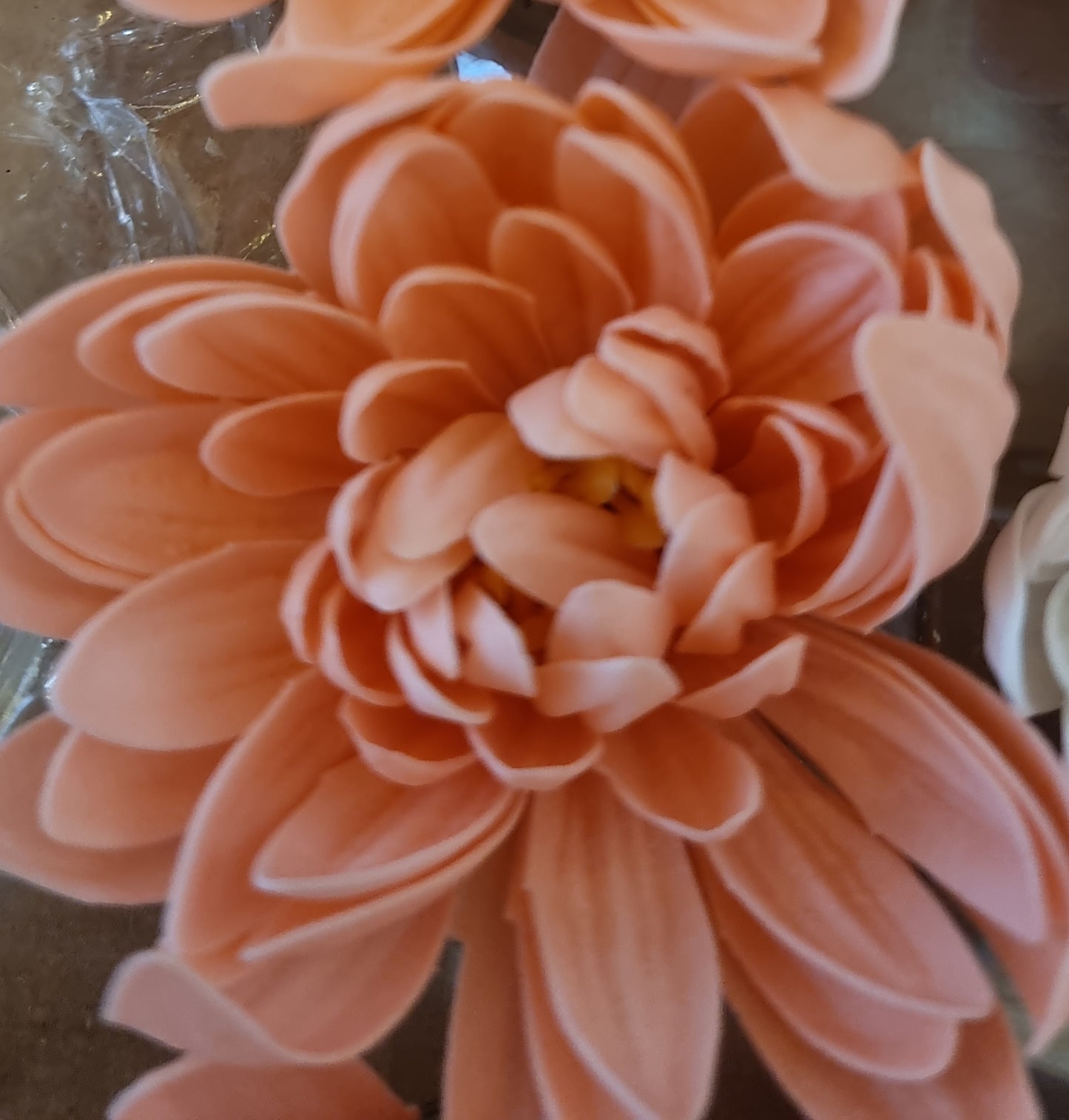 Seifenblume "Lotus 127" Blasses Orange