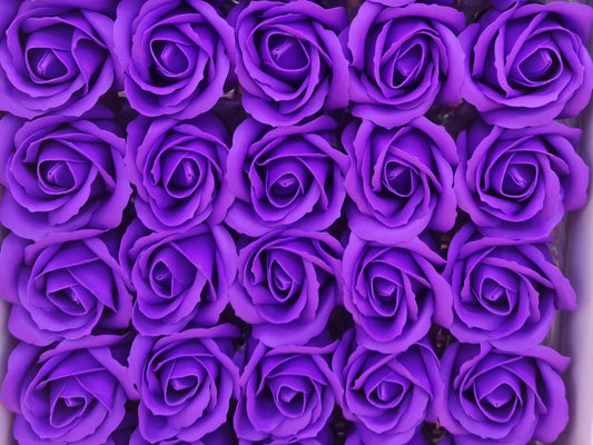 Seifenblume "Rose 12" Violett