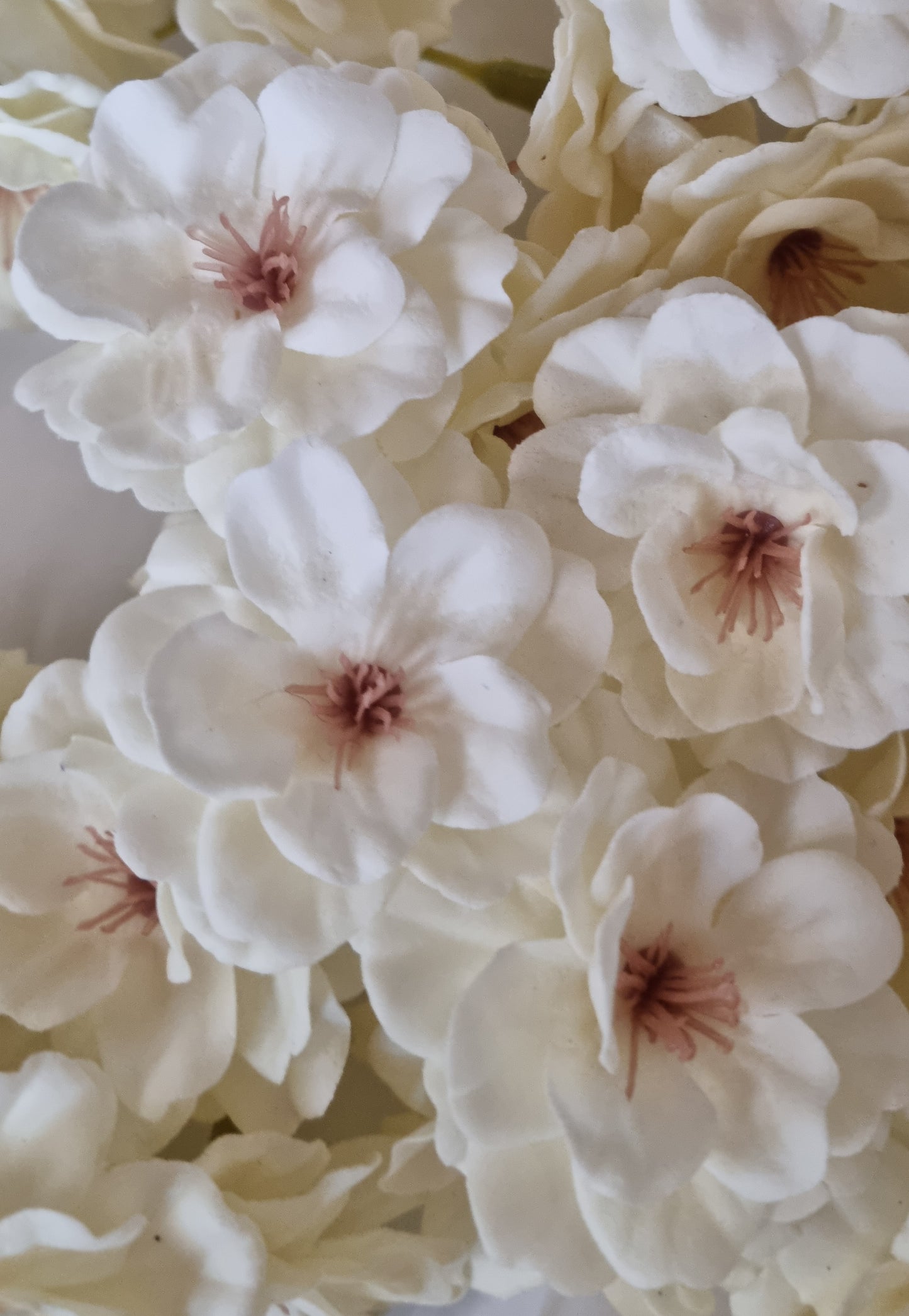 Seifenblume "Kirschblüten 140" Creme