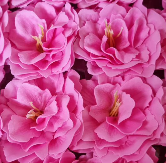 Seifenblume "Azaleen 146" Rosa