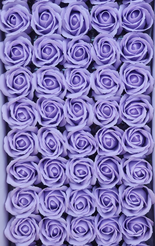 Seifenblume "Rose 14" Rauchiger Flieder