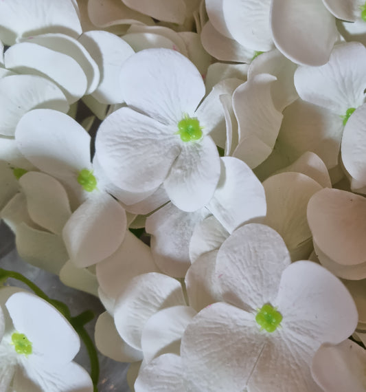 Seifenblume "Hortensien 151" Weiß